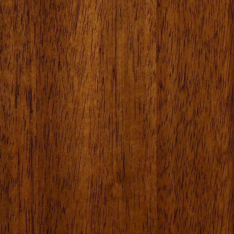 Chaises de salle à manger (lot de 2)
